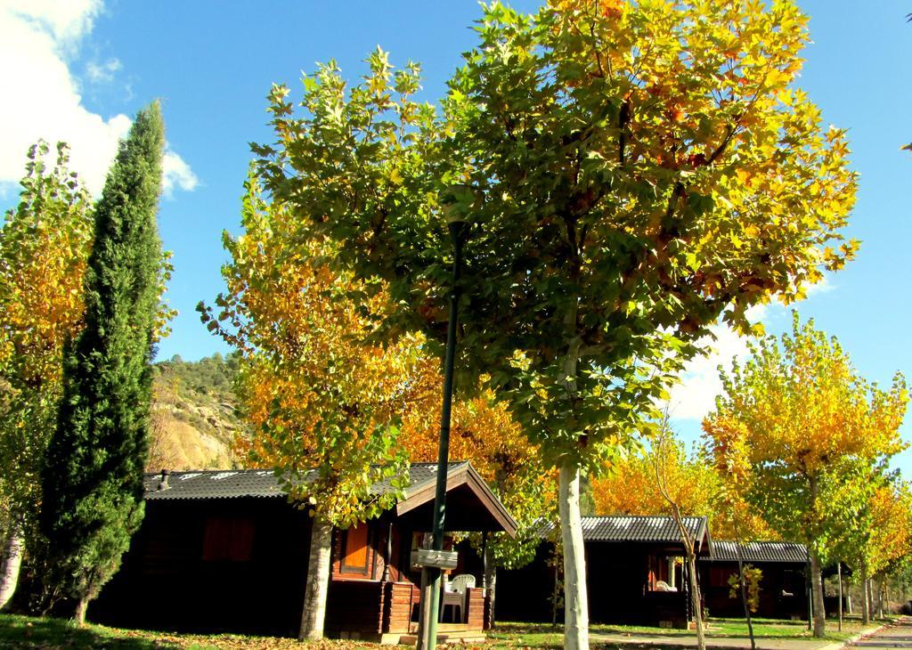 Camping & Bungalows Ligueerre De Cinca 外观 照片